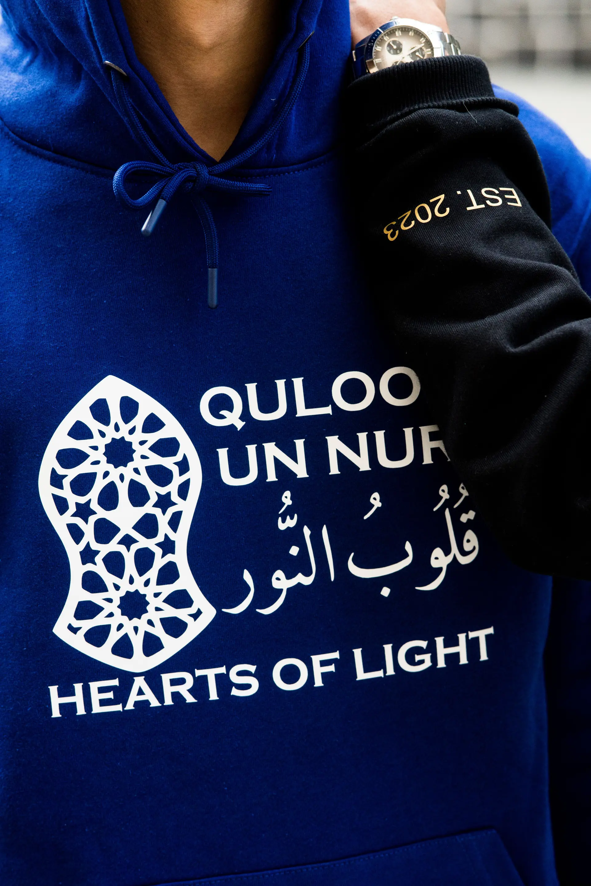 Close view of the royal blue hoodie chest print